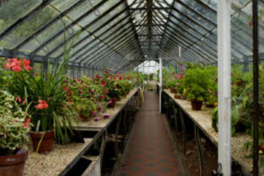 Tuinreis-DorsetWight-04