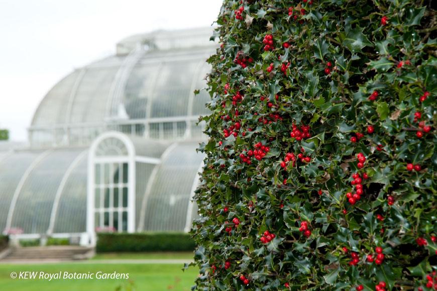 Tuinreis-KerstLonden-01