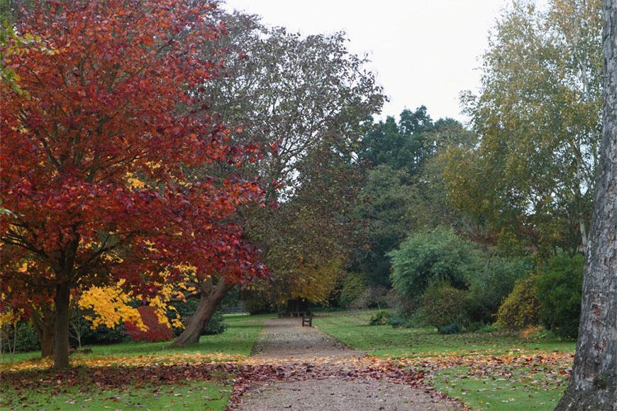 Tuinreis-HerfstSussexKent-05