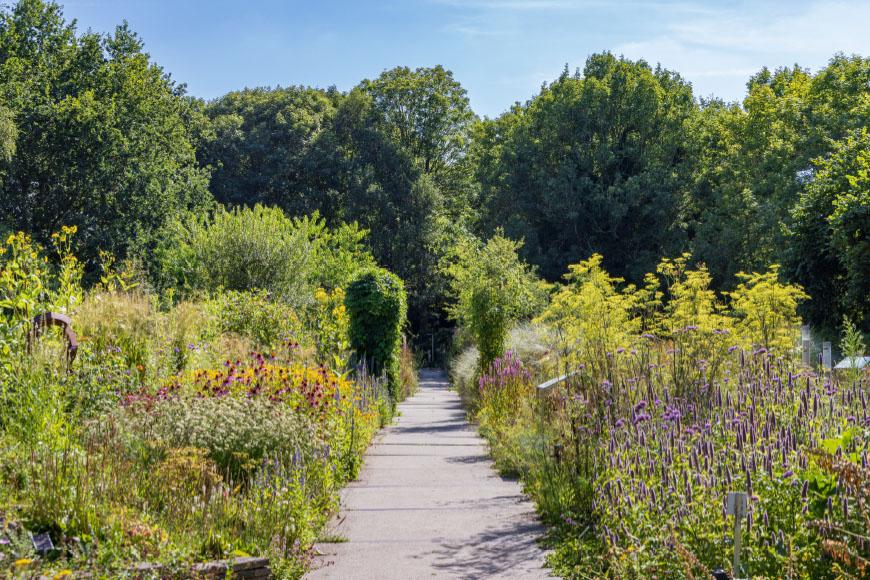 Tuinreis-NoordHolland-01