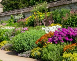 Oxford Botanic Garden & Aboretum