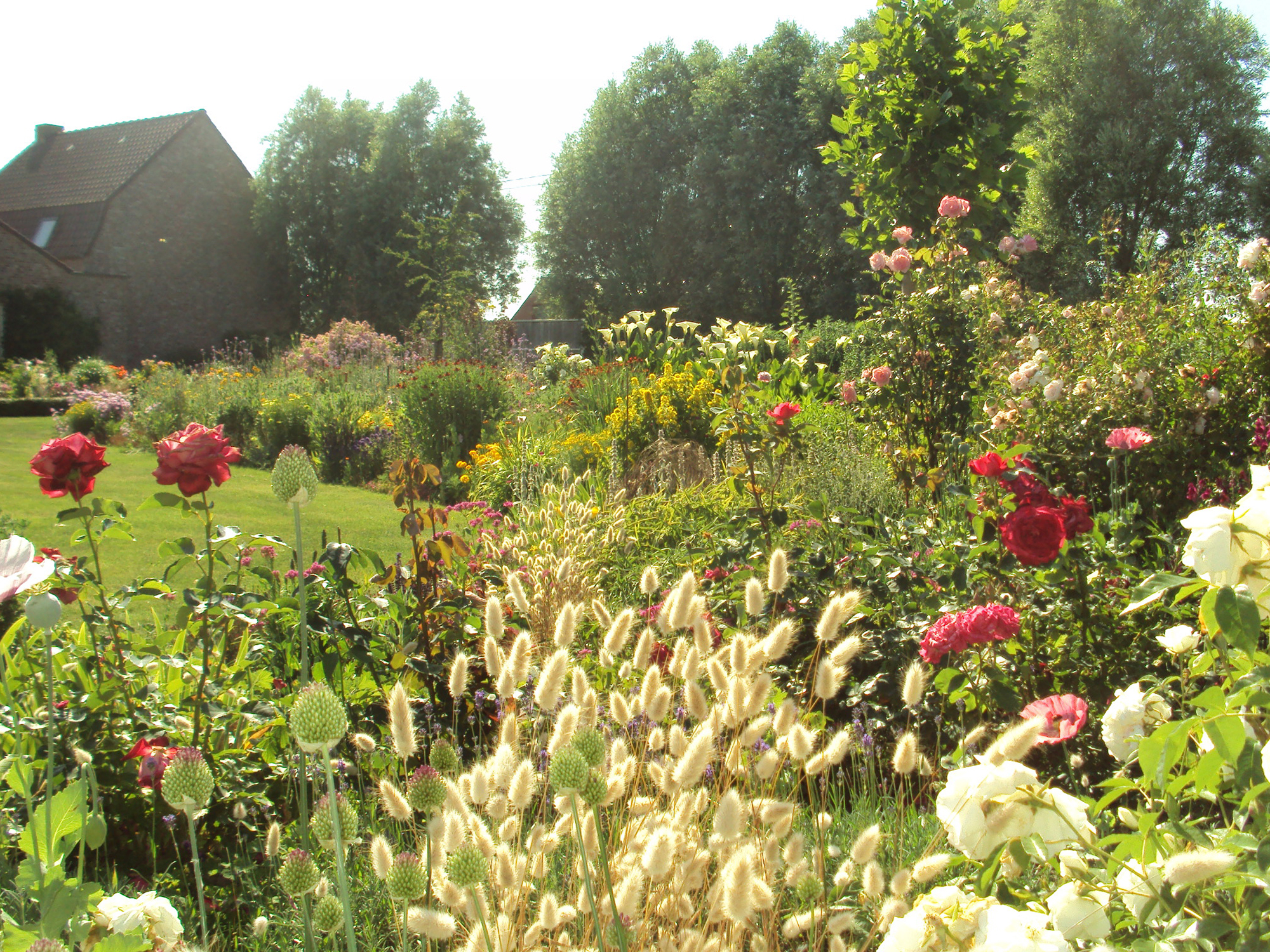 Foto: Tuinen van Luc en Frieda in Roesbrugge-Haringe, België